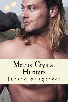 Book cover for Matrix Crystal Hunters