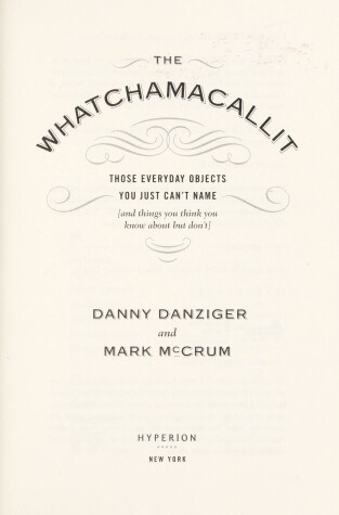 Book cover for The Whatchamacallit