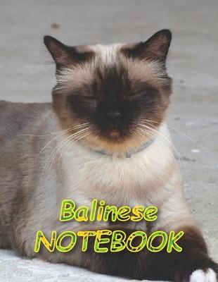 Cover of Balinese NOTEBOOK