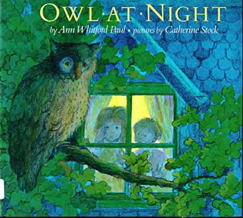 Book cover for Owl at Night