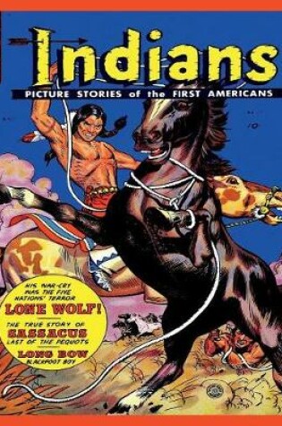 Cover of Indians #17