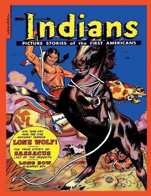 Book cover for Indians #17
