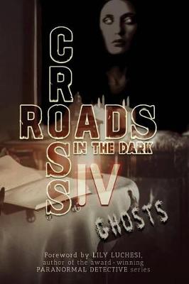 Book cover for Crossroads in the Dark IV