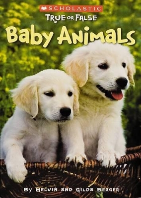 Book cover for Scholastic True or False: #1 Baby Animals