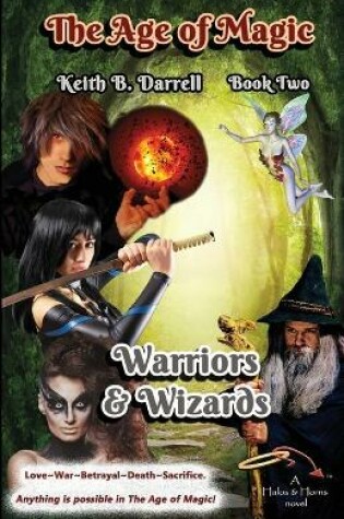 Cover of Warriors & Wizards