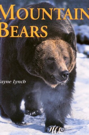 Cover of Mountain Bears