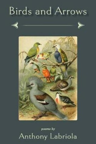 Cover of Birds and Arrows
