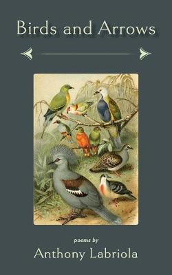 Book cover for Birds and Arrows