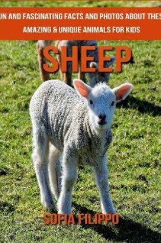 Cover of Sheep