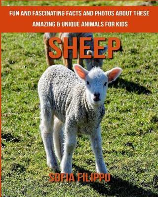 Book cover for Sheep