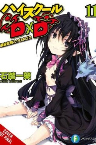 Cover of High School DxD, Vol. 11 (light novel)