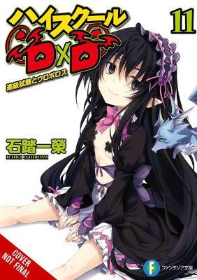 Book cover for High School DxD, Vol. 11 (light novel)