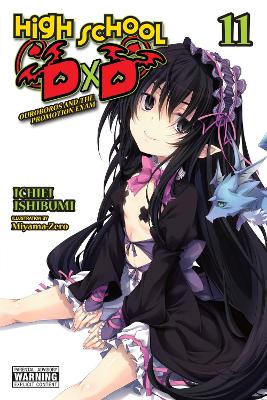 Cover of High School DxD, Vol. 11 (light novel)