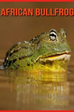 Cover of African Bullfrog