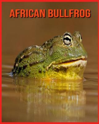 Book cover for African Bullfrog
