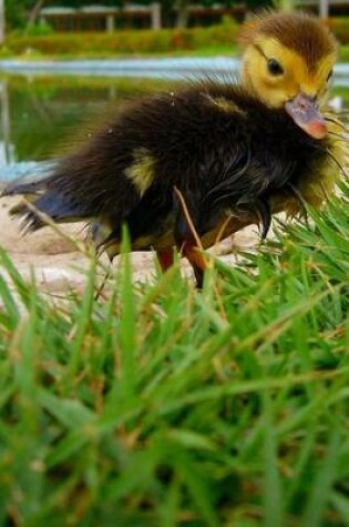 Cover of Cute Duckling on the Grass, Birds of the World