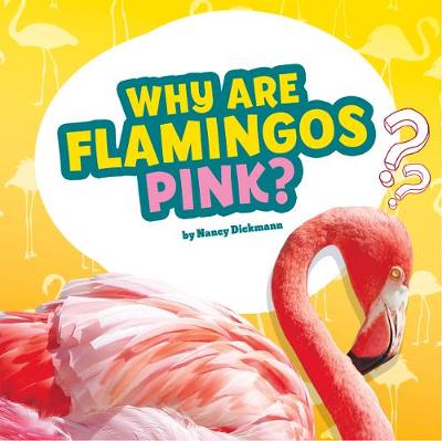 Book cover for Why Are Flamingos Pink?