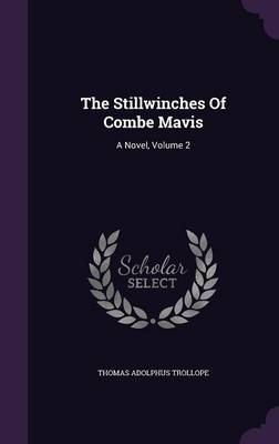 Book cover for The Stillwinches of Combe Mavis