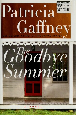 Book cover for Goodbye Summer