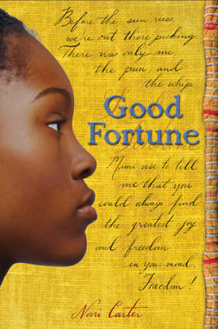 Cover of Good Fortune