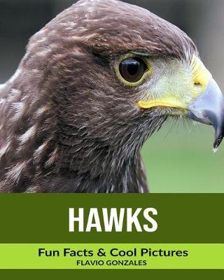 Book cover for Hawks