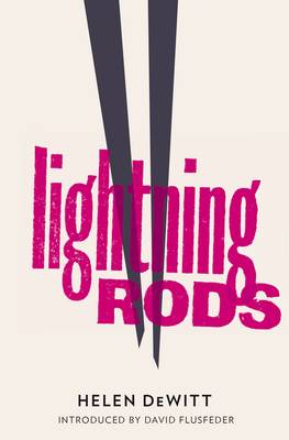 Book cover for Lightning Rods