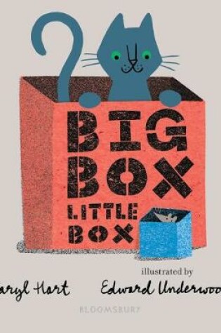 Cover of Big Box Little Box
