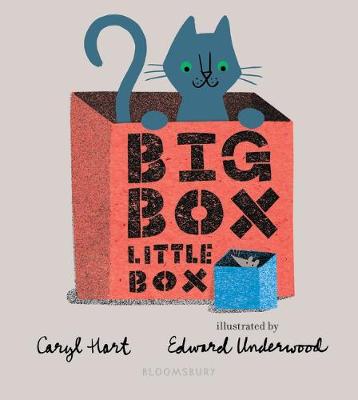 Book cover for Big Box Little Box