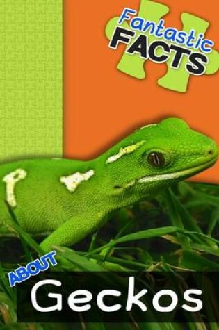 Cover of Fantastic Facts about Geckos