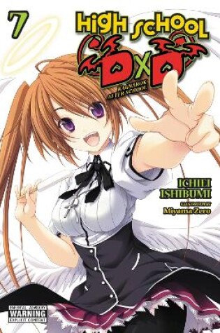 Cover of High School DxD, Vol. 7 (light novel)