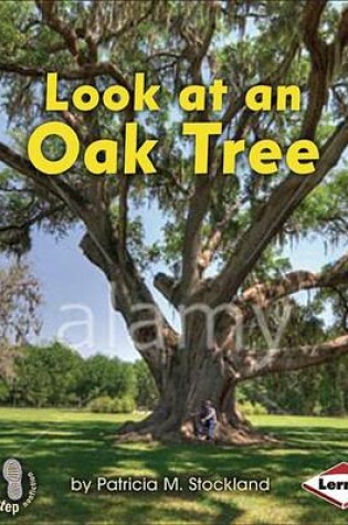 Cover of Look at an Oak Tree