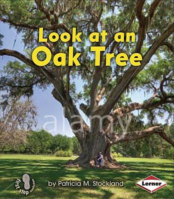 Book cover for Look at an Oak Tree