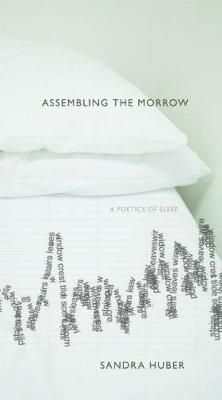 Book cover for Assembling the Morrow