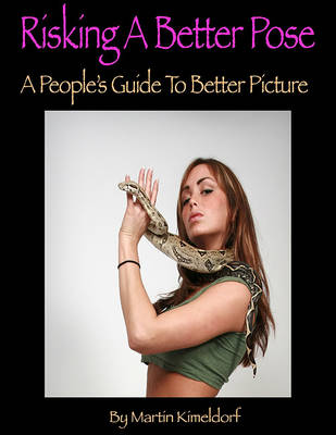 Book cover for Risking a Better Pose