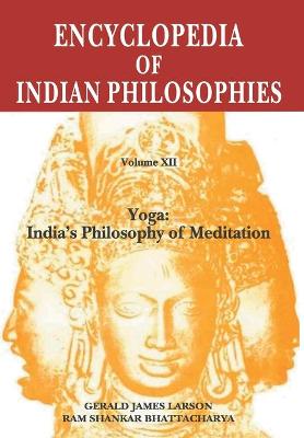 Book cover for Encyclopaedia of Indian Philosophies: v. XII