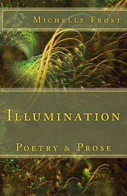 Book cover for Illumination