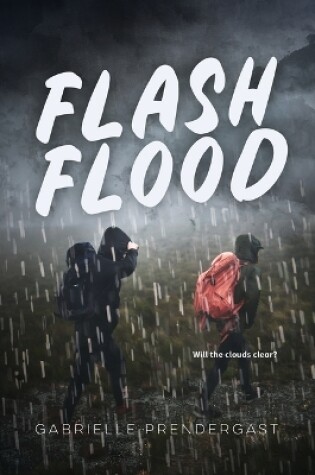 Cover of Flash Flood