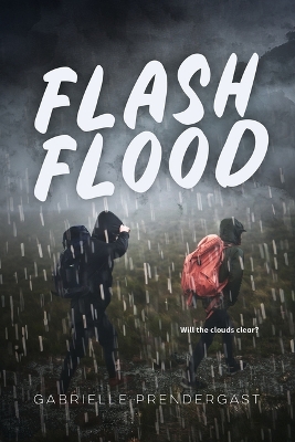 Cover of Flash Flood