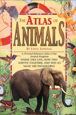 Cover of Animal Atlas