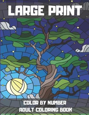 Book cover for Large Print Color By Number Adult Coloring Book