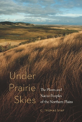 Book cover for Under Prairie Skies