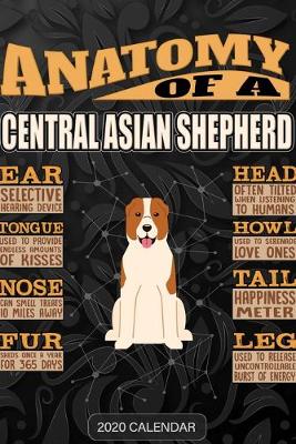 Book cover for Anatomy Of A Central Asian Shepherd