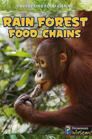 Cover of Protecting Food Chains Rain Forest Food Chains