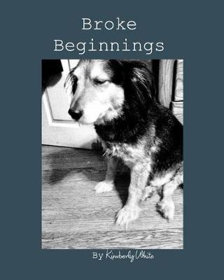 Book cover for Broke Beginnings