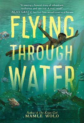 Book cover for Flying through Water