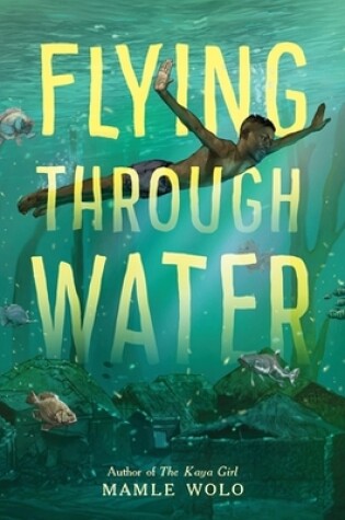 Cover of Flying through Water
