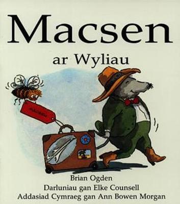 Book cover for Macsen ar Wyliau