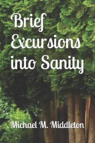 Cover of Brief Excursions into Sanity