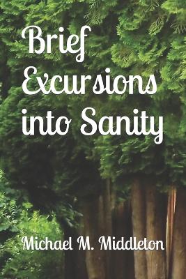 Book cover for Brief Excursions into Sanity