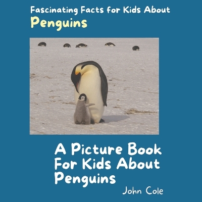 Book cover for A Picture Book for Kids About Penguins